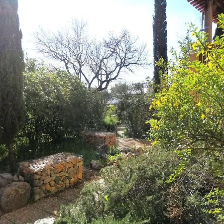T2 36 M2, Rdc De Villa, Clim, Gd Jardin Clos, Animx Ok, Quartier Mt Faron Tres Calme, Wifi, Parking ツーロン エクステリア 写真