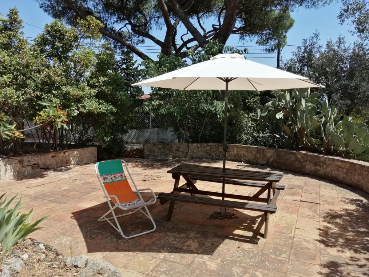 T2 36 M2, Rdc De Villa, Clim, Gd Jardin Clos, Animx Ok, Quartier Mt Faron Tres Calme, Wifi, Parking ツーロン エクステリア 写真